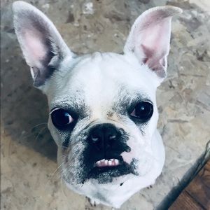 Meet your Posher, Lorah